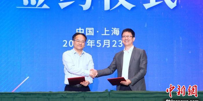 6686体育官方网站- 博洛尼亚启用青年军，小将梅开二度震惊亚平宁  